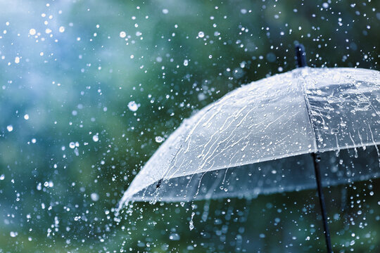その不調、多雨疲労？！